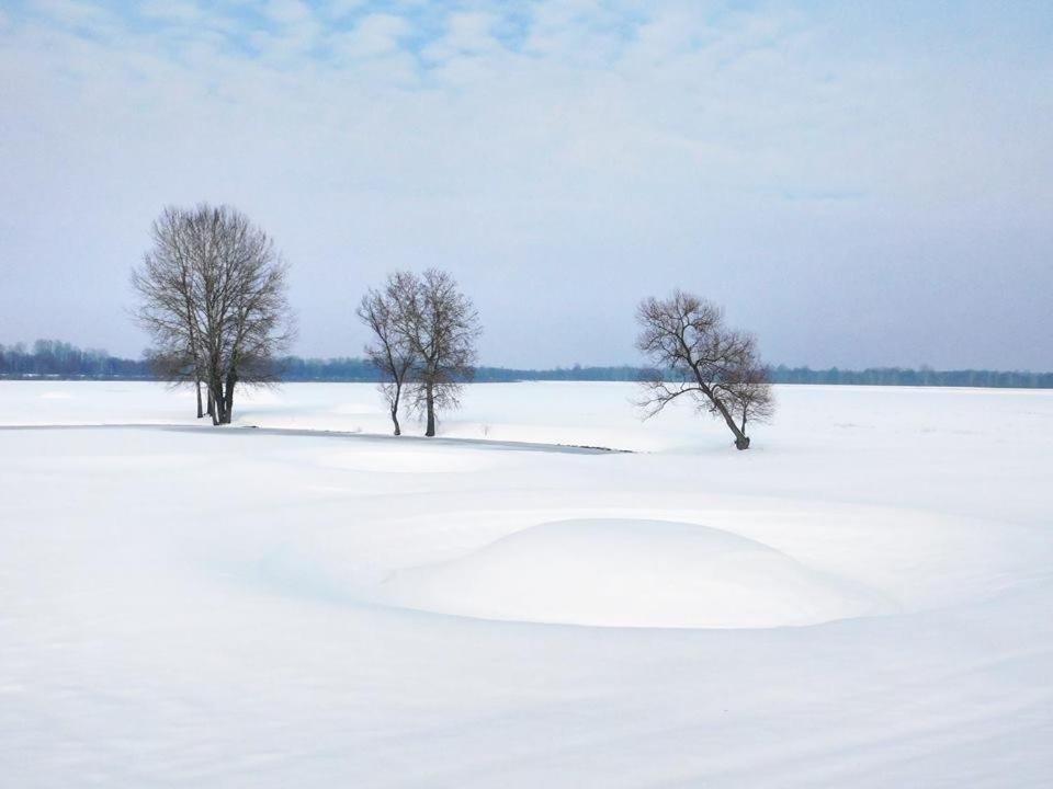 Kod Ribica Bed & Breakfast Jasenovac Exterior foto