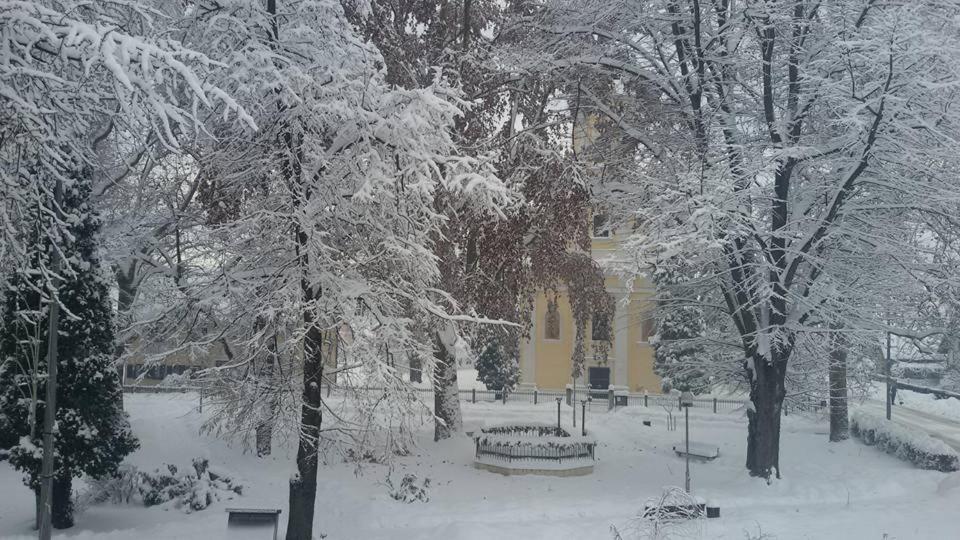 Kod Ribica Bed & Breakfast Jasenovac Exterior foto
